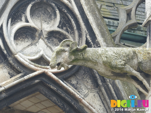 FZ007074 Gargoyle Cathedrale de Troyes